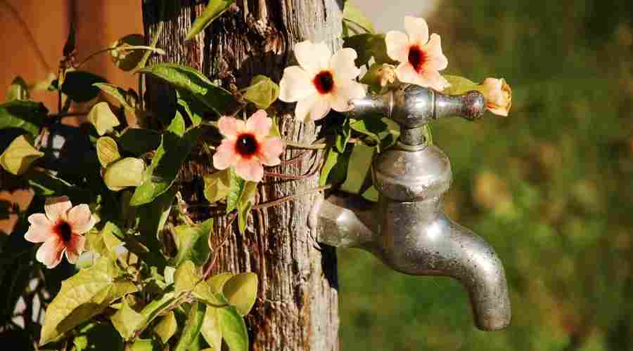 Common Spring Plumbing Issues | Plumbers in Jersey City | BJC Plumber
